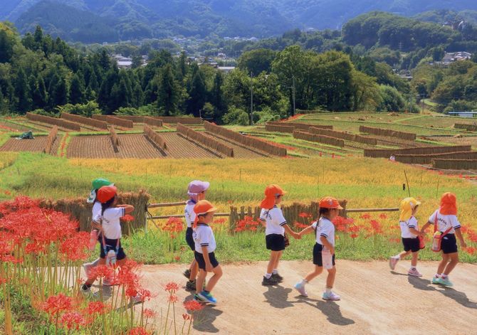 2021年佳作受賞写真