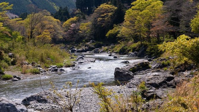 奥多摩の初夏の多摩川の風景