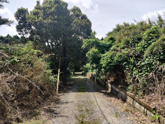 ほとんど管理されていない区画が並ぶ限界分譲地。