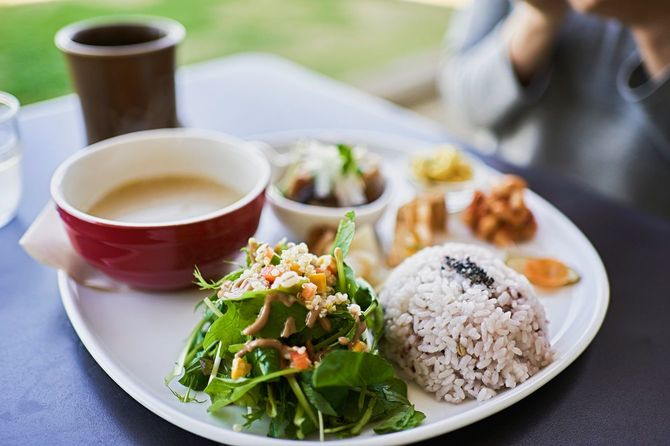 日本のビーガンレストランでのランチプレート