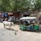 1日100トンの牛糞をバイオガスに…原油急騰のインドに軽自動車の神･鈴木修が残したとんでもない置き土産