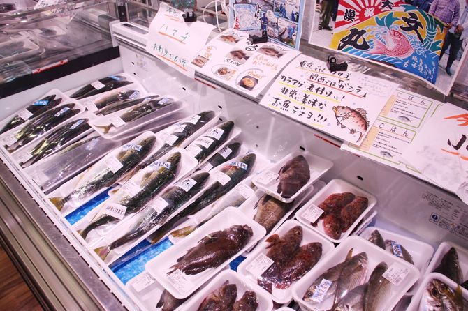 「産直市場よってって」魚の産直売り場