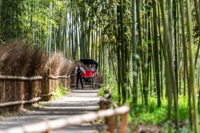 嵐山竹林公園を人力車に乗って楽しんでいる観光客