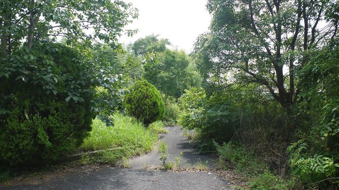 家屋が一切建てられていない「放棄分譲地」。