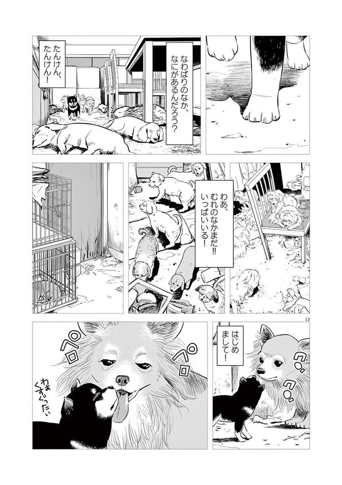 『しっぽの声』c夏緑・ちくやまきよし／小学館