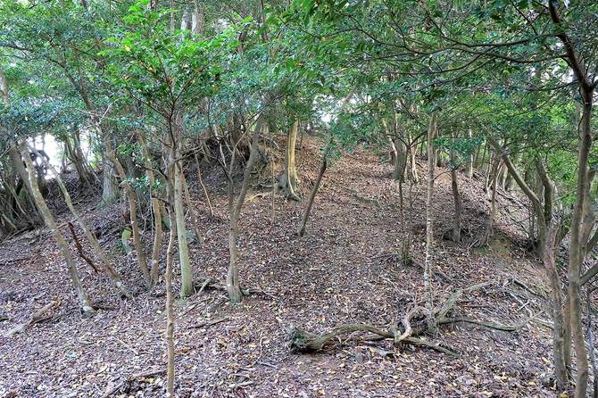 三の丸北端を外側から