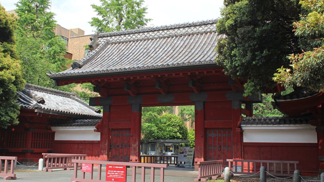 中国人は｢高1レベルの試験｣を使って東大に合格している…日本に押し寄せる外国人留学生の｢知られざる目的｣