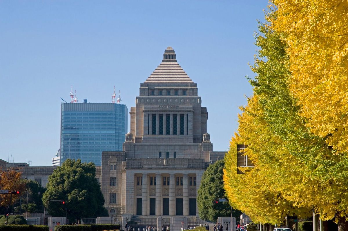 国会議事堂とイチョウ