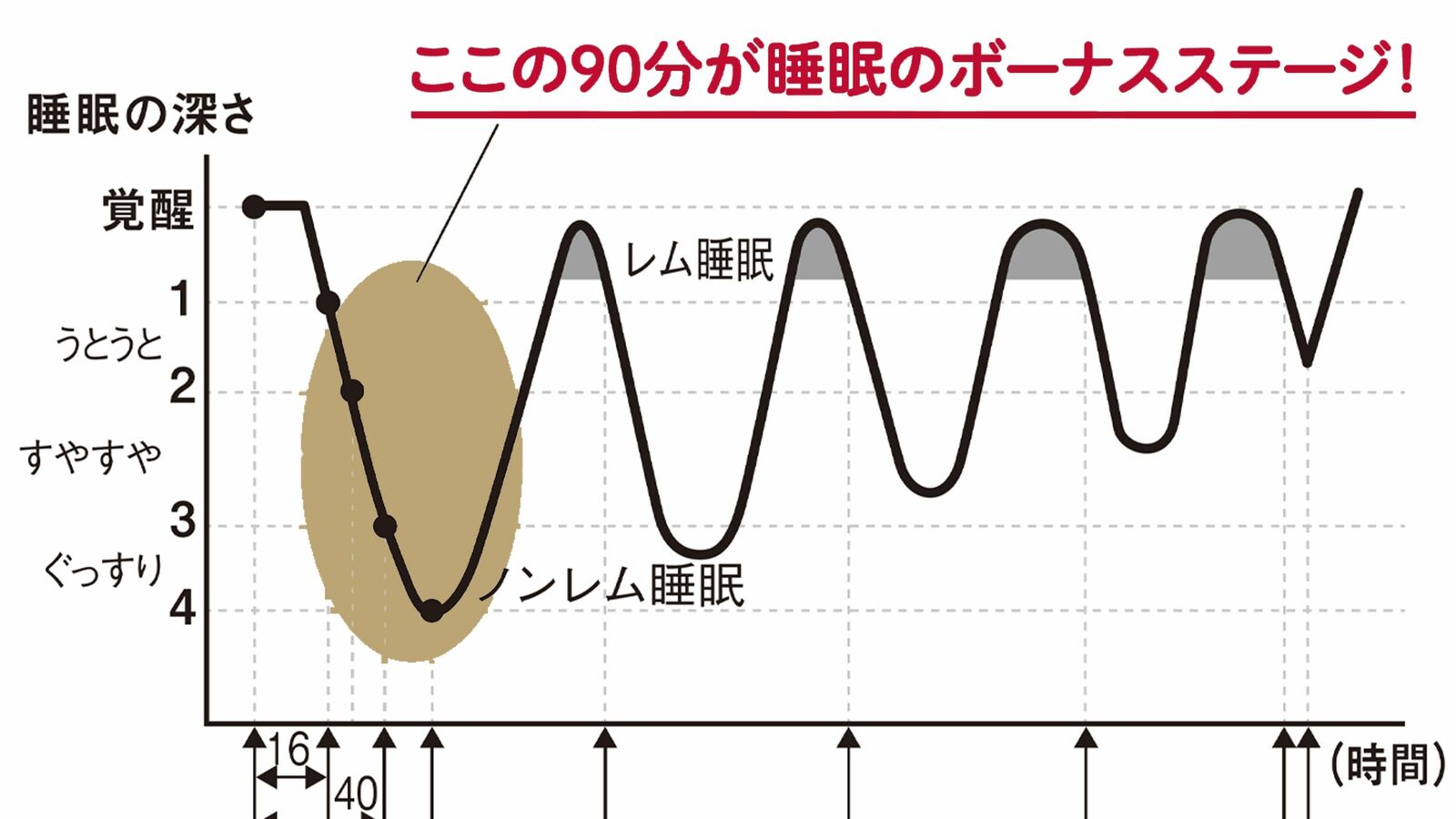 ｢午後10時から午前2時の間｣ではない…最新の研究が証明した｢本当の睡眠のゴールデンタイム｣ 成長ホルモンが最も分泌されやすいタイミングとは