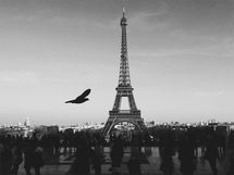 美意識と思想の国、フランスはなぜテロに狙われるのか