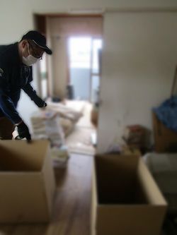 和室の畳も見えるようになった。（撮影＝笹井恵里子）