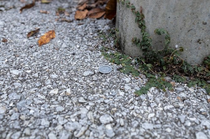 道端に落ちている一円硬貨