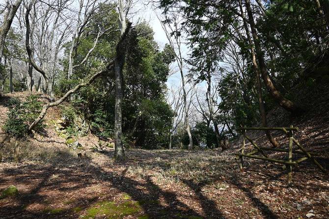 城を南北に分ける大堀切。浅井親子の運命もここでわかれた。