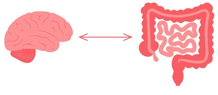 ※写真はイメージです