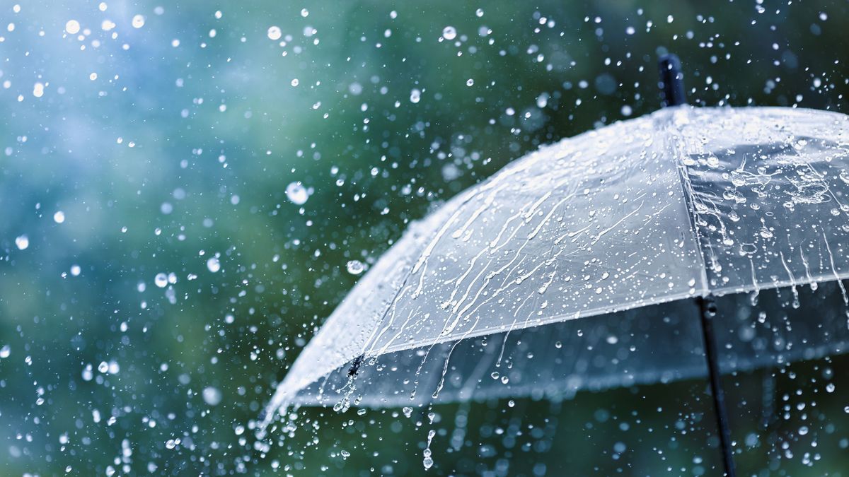 降水確率100 は 大雨 という意味ではない 知れば知るほど面白い天気の6つのトリビア 虹のふもと には絶対行けない 2ページ目 President Online プレジデントオンライン