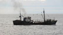 なぜ北朝鮮は日本の漁場で密漁を繰り返すのか