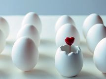 “普通の人”がお金を増やすための3原則とは