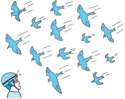 【イラスト】調査隊は多数のクロウミツバメが大地に降り注ぐという稀有な光景に遭遇した