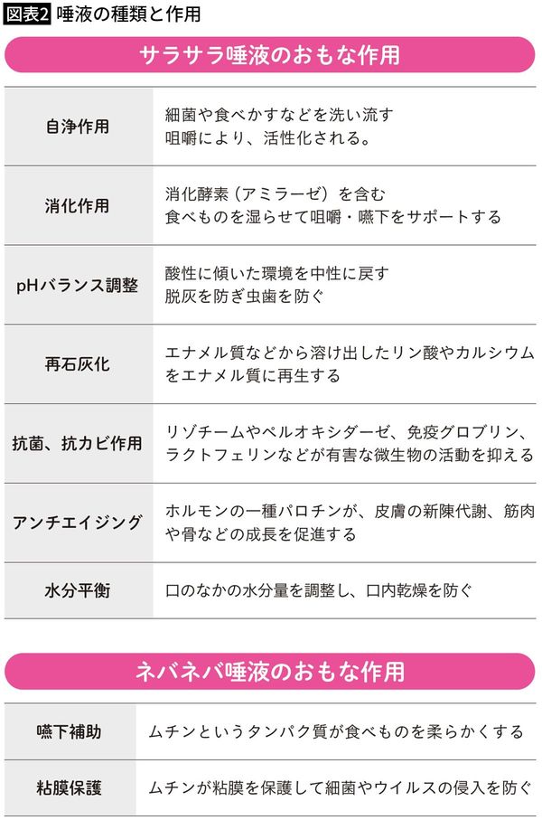 【図表2】唾液の種類と作用