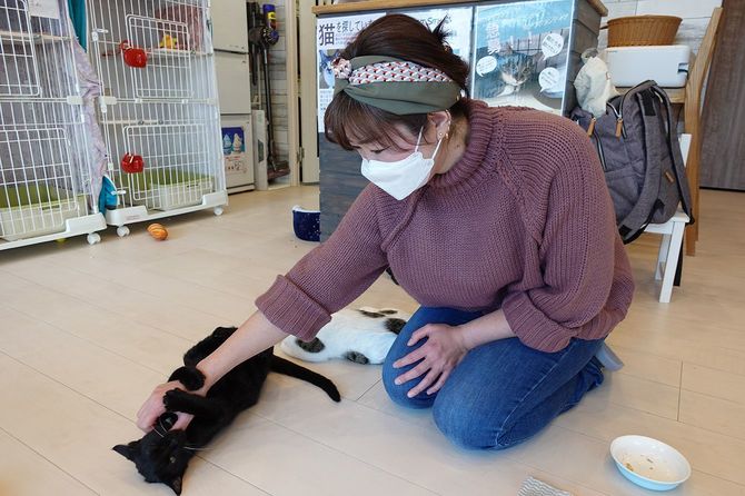 ノネコの譲渡認定人の服部由佳さん