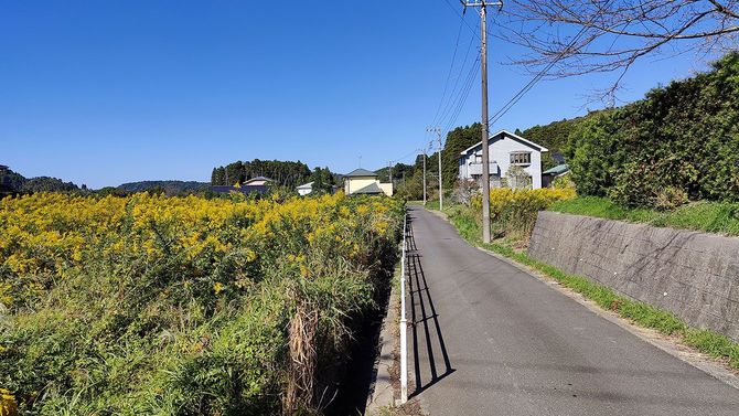 令和3年度の豪雨によって2度の大規模冠水に見舞われた地域。報道では「集落」と呼ばれていたが、実際は民間の分譲地だ。(千葉県いすみ市佐室)