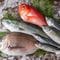 ｢血管を強くする魚｣がヨボヨボの原因に…焼く､煮る､揚げる､蒸すのうち｢老化促進物質AGEs｣が一番増える調理法