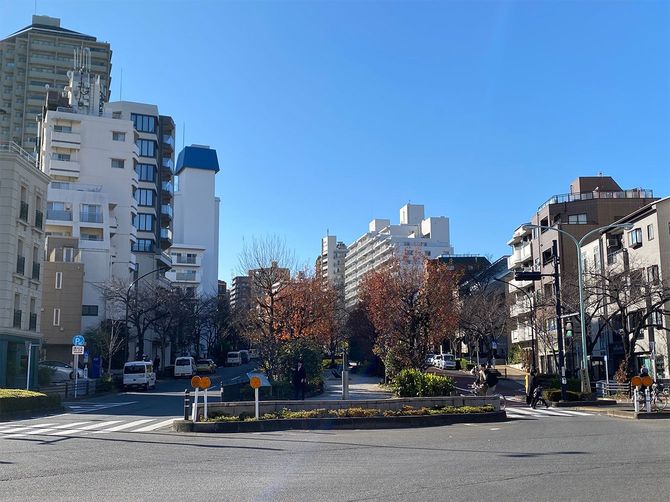 文京区の小石川一帯