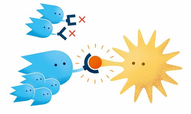 自分が対応すべき病原体だと認識すると、数を増やし立ち向かう。