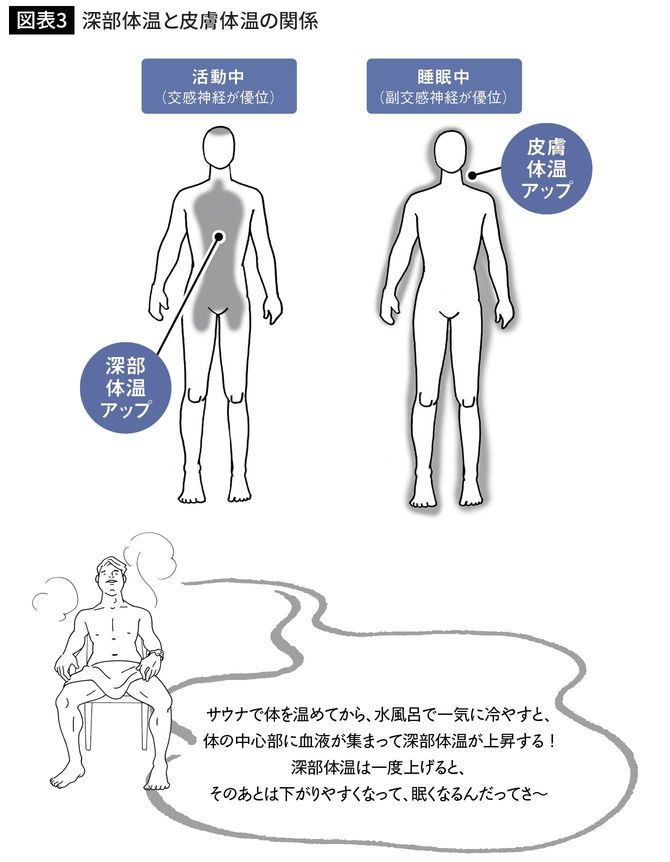 深部体温と皮膚体温の関係