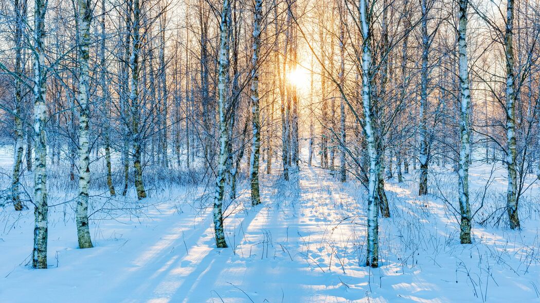 雪の森をランニング用ベビーカーでジョギング…父親の9割が育休を取るようになった北欧の国のすごい仕掛け 90年代半ばまで｢育休は女性が取るもの｣だった