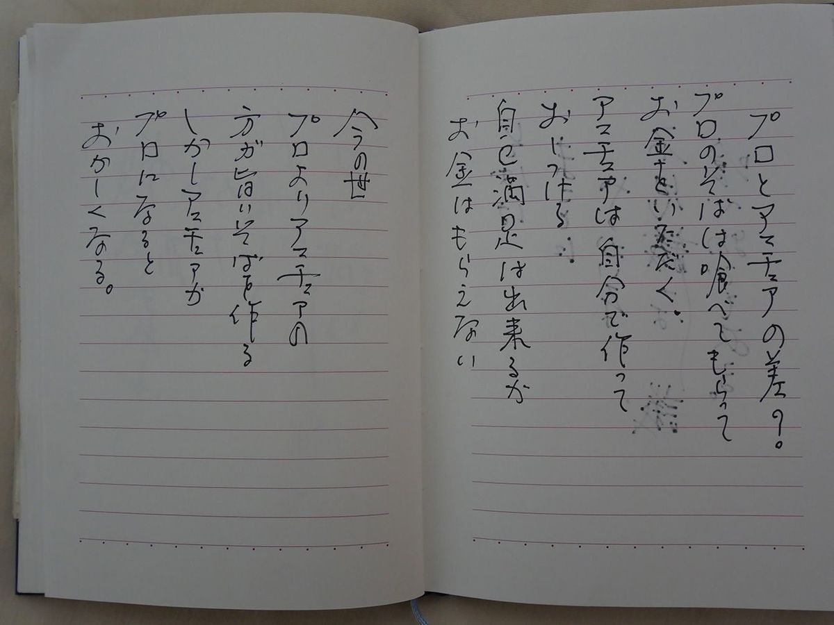 プロとアマチュアの違いについての考察（阿部さんの手記より）