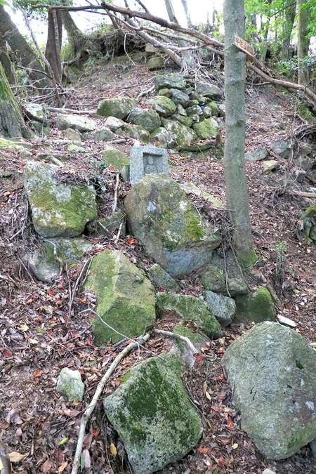 角部分にも石垣。その周辺の山肌は石垣が剝がれ落ちた跡か