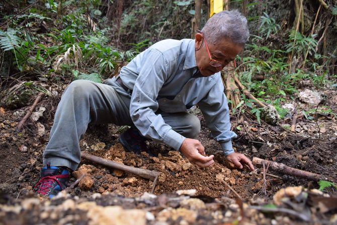 遺骨を探す具志堅隆松さん。小さな破片を見極めるため、75年間積もった腐葉土を素手で掘り起こす＝2020年12月8日、沖縄県糸満市