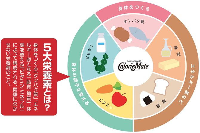 5大栄養素とは?