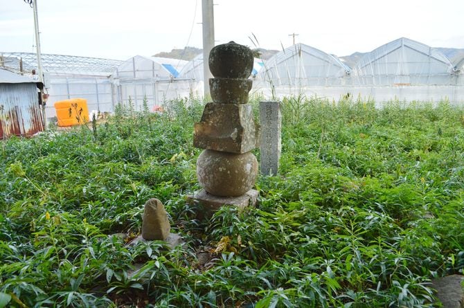 宝鏡寺跡にある香宗我部親泰墓