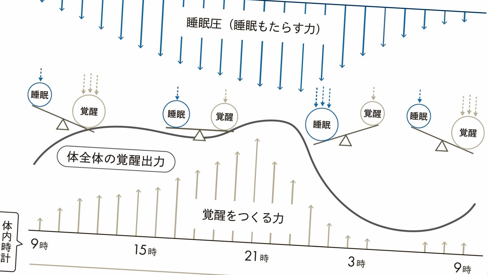 ｢翌日早く起きるために早く寝る｣は大間違い…かえって不眠につながる"避けるべき"就寝時間帯とは 23時に寝る人なら20時から22時くらいが1日の中でもっとも寝られない