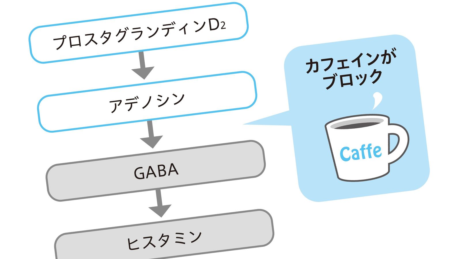 コーヒーで眠気を覚まそうとしてはいけない…午後の眠気の根本原因を解消する"計画仮眠"4つのポイント 眠くなってから仮眠するのでは遅すぎる