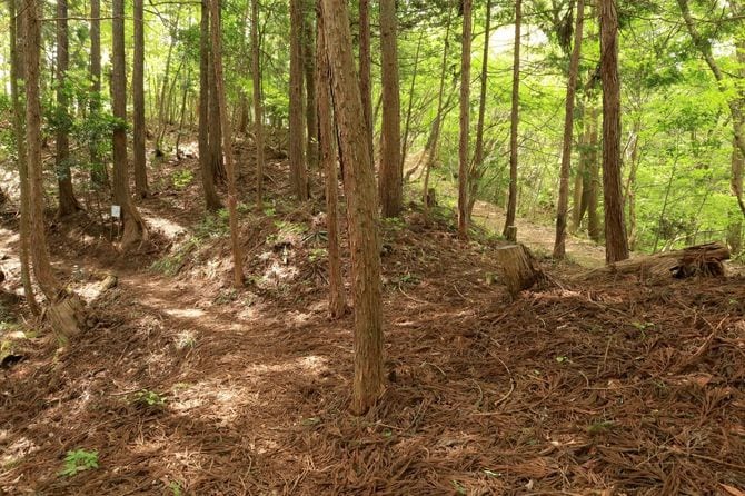 岩崎山砦の堀切