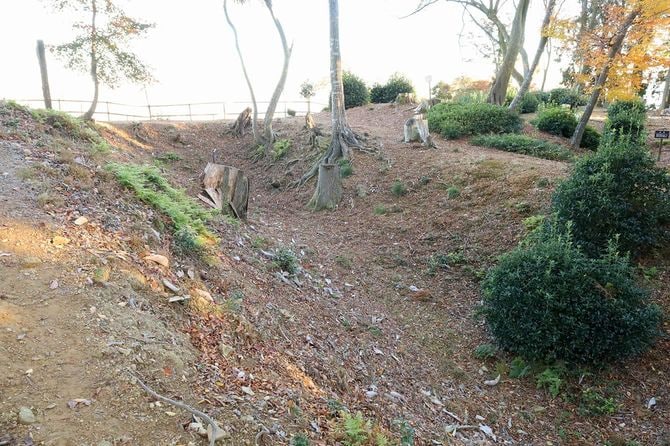 Y字の下端、崖を登りきったあたりから