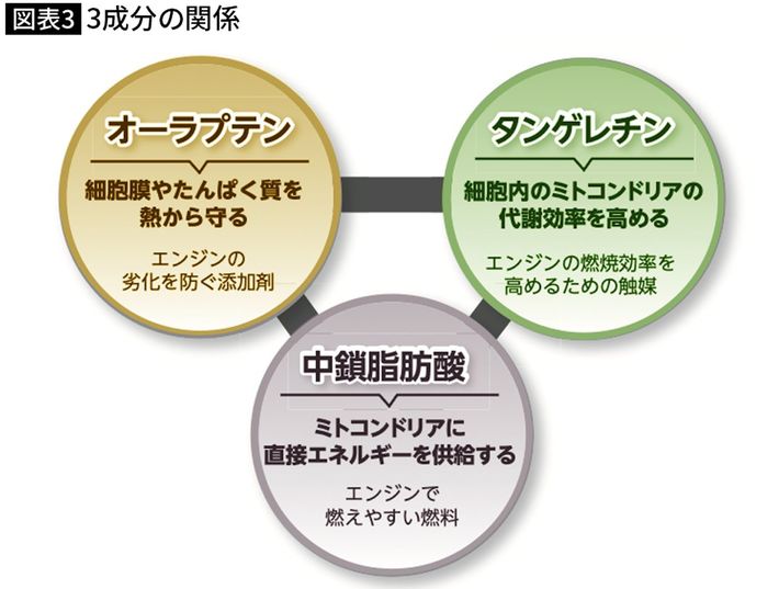 出典＝『<a href="https://www.amazon.co.jp/exec/obidos/ASIN/4833426099/presidentjp-22" target="_blank">血管細胞を強くすれば熱中症は予防できる 熱中症やヒートショックに強い身体に変える3つの成分</a>』（プレジデント社）