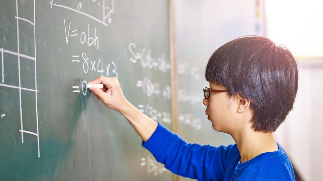 ｢1/2と1/3どちらが大きい?｣わからない小5が5割以上いる…東大教授が｢さすがにまずい｣と心配するワケ 分数を習いたての生徒が正しく答えられない理由