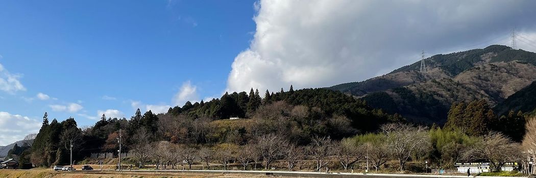 徳川家康｢暗殺計画｣の首謀者たちはなぜ大出世したのか…関ヶ原の戦い前夜に起きた"でっち上げ"事件の謎