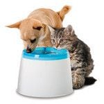 美味しい水でペットの病気を予防する「フレッシュファウンテン」。