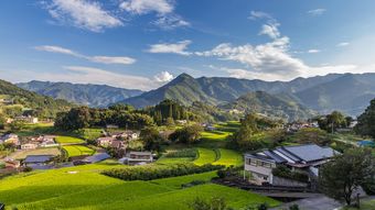｢家も土地もタダ｣から“悪夢の田舎暮らし”が始まる…｢新生活｣失敗回避の絶対条件【移住の真実3選】