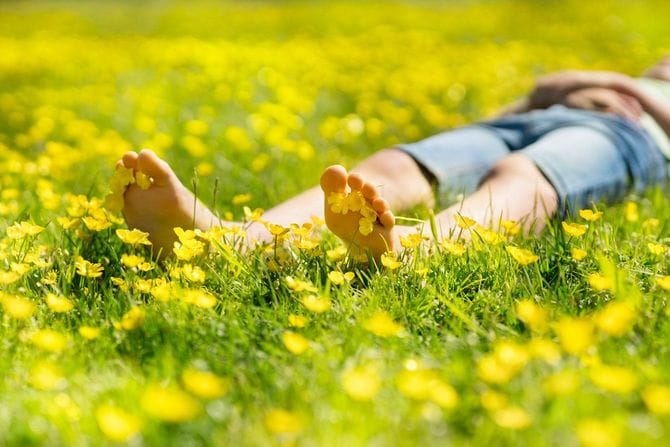 太陽の下で黄色い花がいっぱいの牧草地に寝ころびリラックスした人
