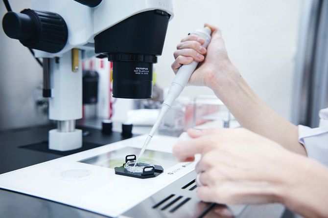 排卵や卵管、精子に問題があると体外受精となる