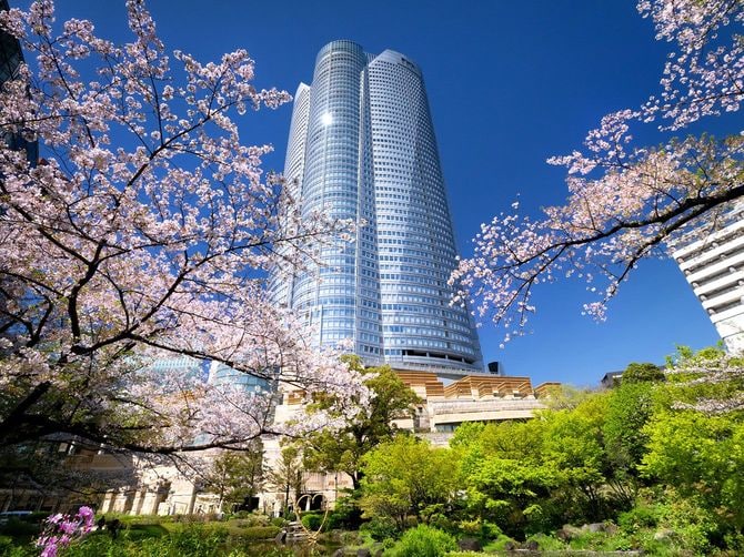 桜が咲き誇る毛利庭園と六本木ヒルズ