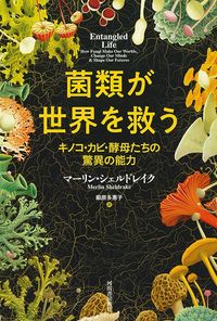 マーリン・シュルドレイク『菌類が世界を救う』（河出書房新社）