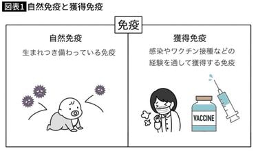★送無！免疫力が強くなる言葉の法則 ヨドバシ.com - 免疫力が強くなる言葉の法則―世界で一番からだに