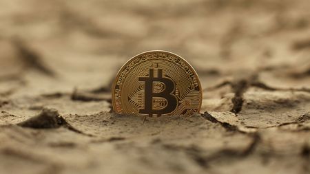 それでも大暴落は止まらない ビットコインが 新時代の通貨 とはなり得ない3つの理由 法定通貨化は 無謀な選択 だ President Online プレジデントオンライン